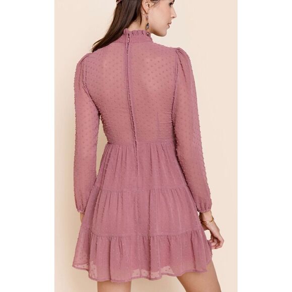 NWT Womens Francesca’s Collections Trixxi Chiffon Clip Swiss Dot Dress - Sz L - Picture 2 of 4